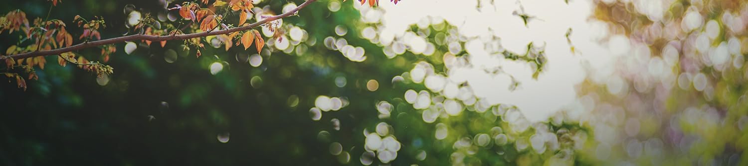 Cultivate Your Paradise Year-Round