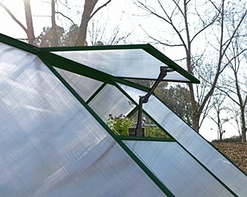 Palram - Canopia Balance 8 x 8 Large Greenhouse for Outside, Heavy Duty, Walk-in, UV Protected Thick Clear Polycarbonate Panels, Wind & Weather Resistant, Maintenance Free Outdoor Garden, Warranty - Image 6