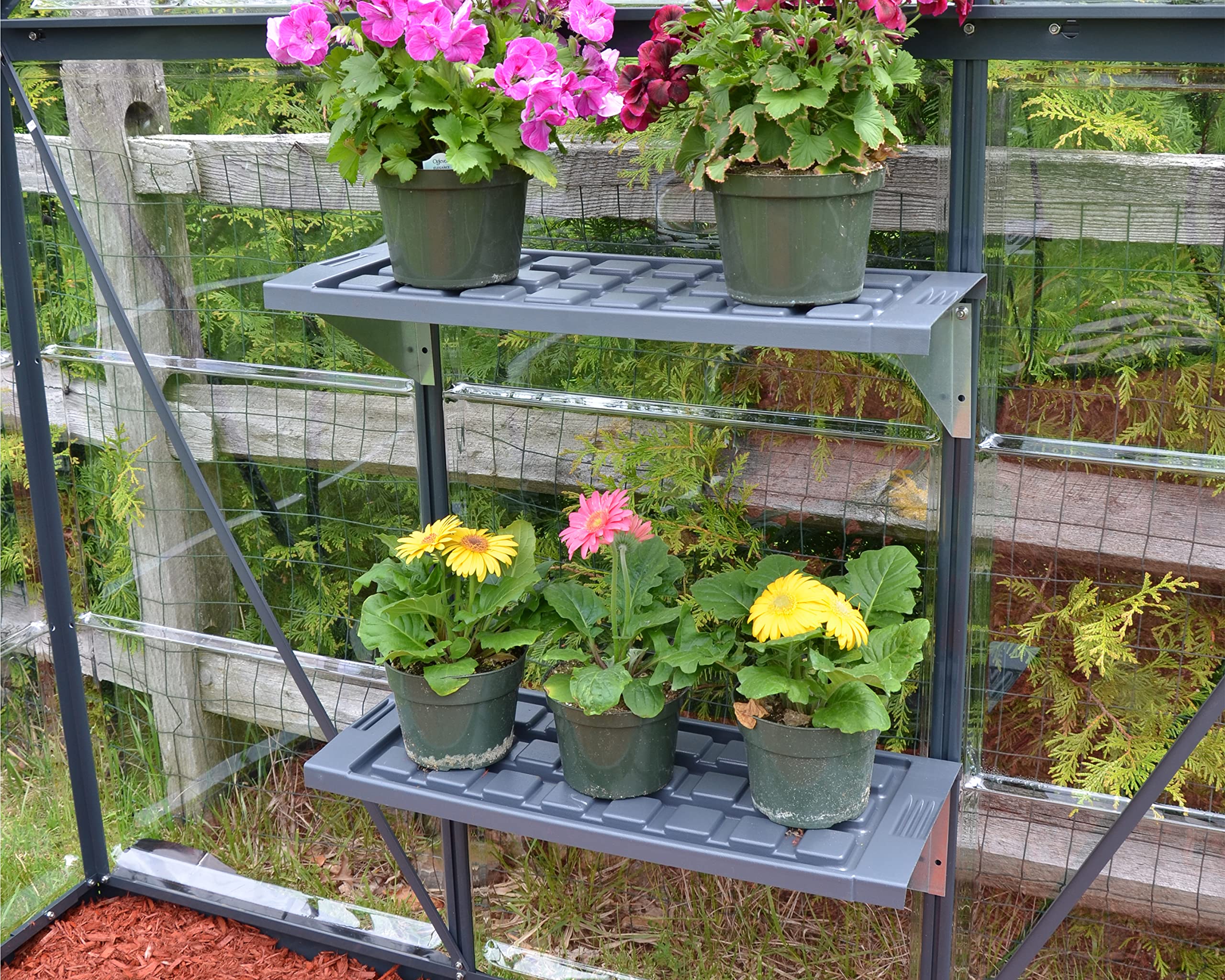 Palram - Canopia Greenhouse Shelf for Canopia Greenhouses,Black - Image 6