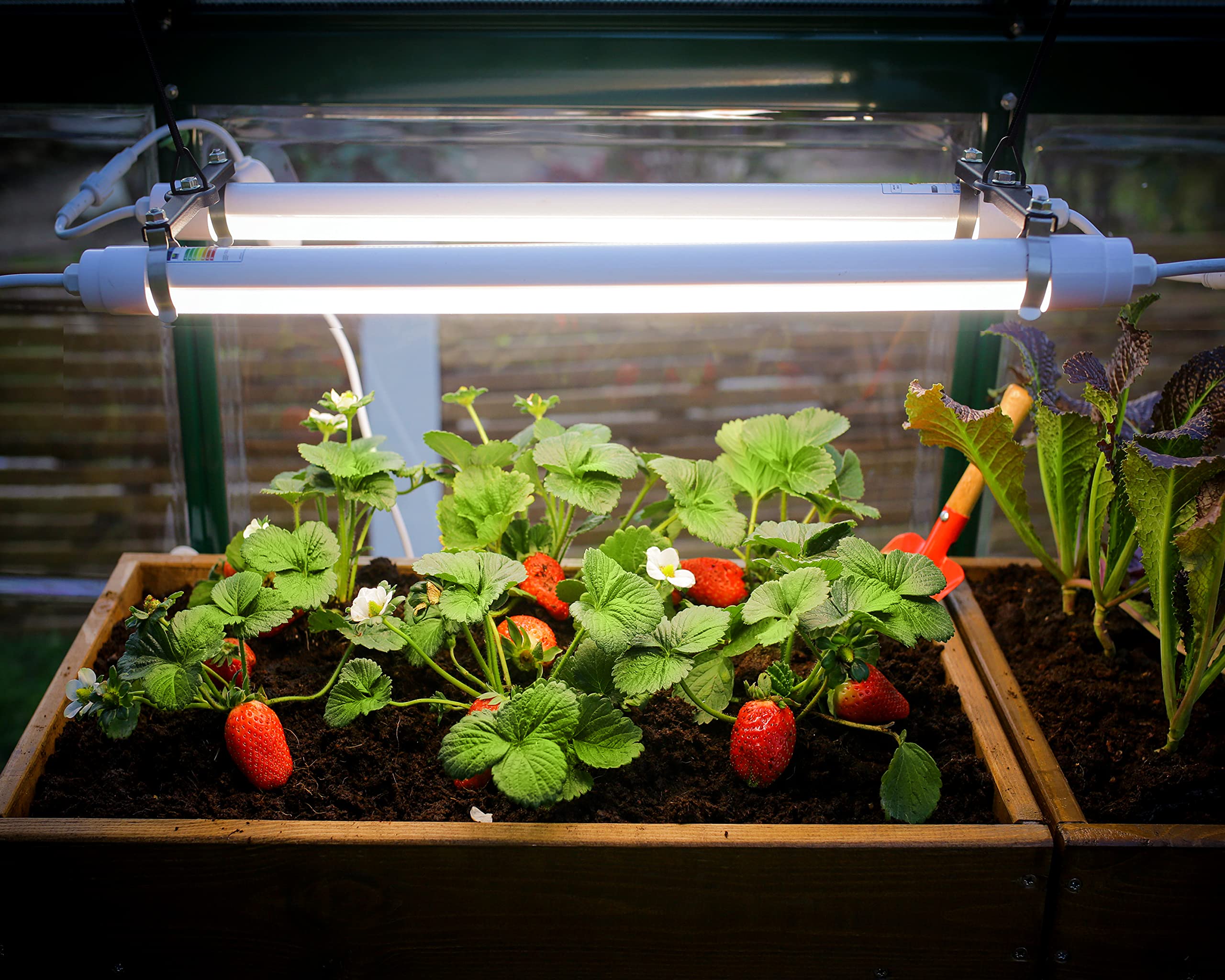 Palram - Canopia Greenhouses LED Grow Light for Plants, Vegetables, Fruits, Flowers, Growth Plant Light - Image 3