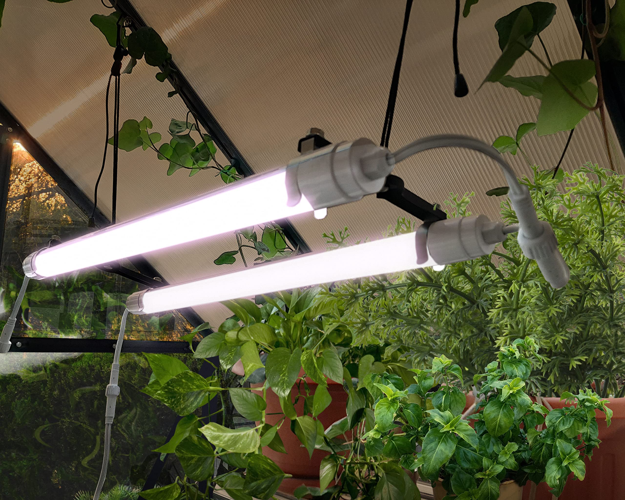Palram - Canopia Greenhouses LED Grow Light for Plants, Vegetables, Fruits, Flowers, Growth Plant Light - Image 5